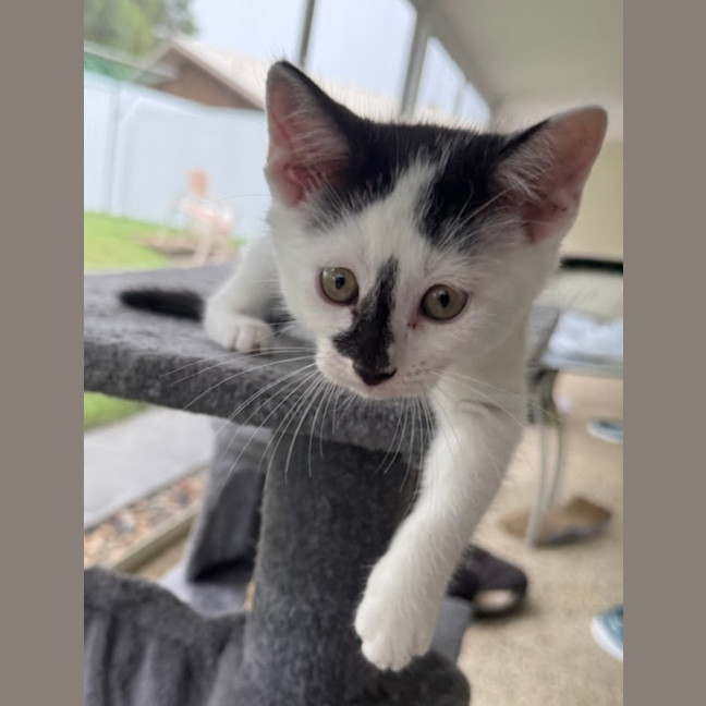 Photo of Rosie