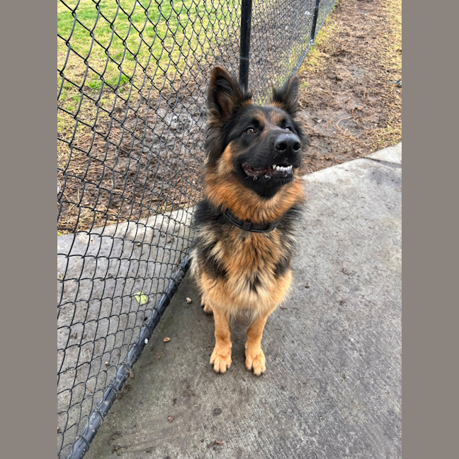 Photo of Lucy