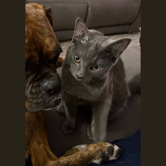 Photo of Willowmina
