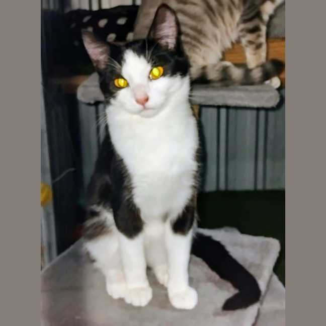 Photo of Sigma