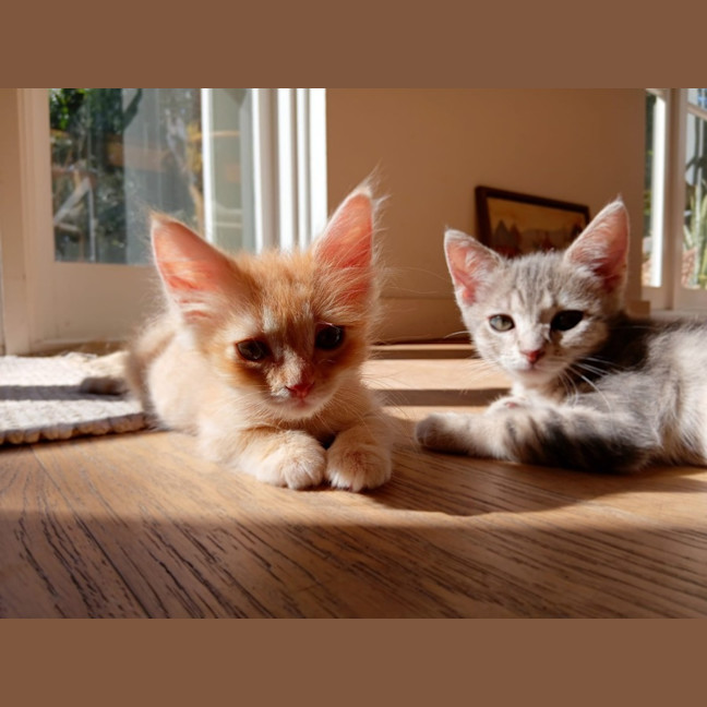 Photo of Albert And Kink