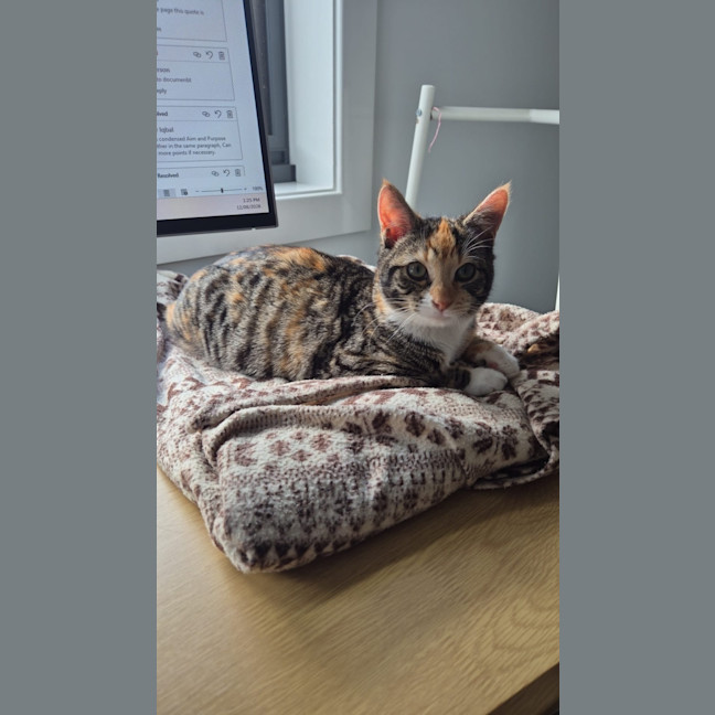 Photo of Cleopatra