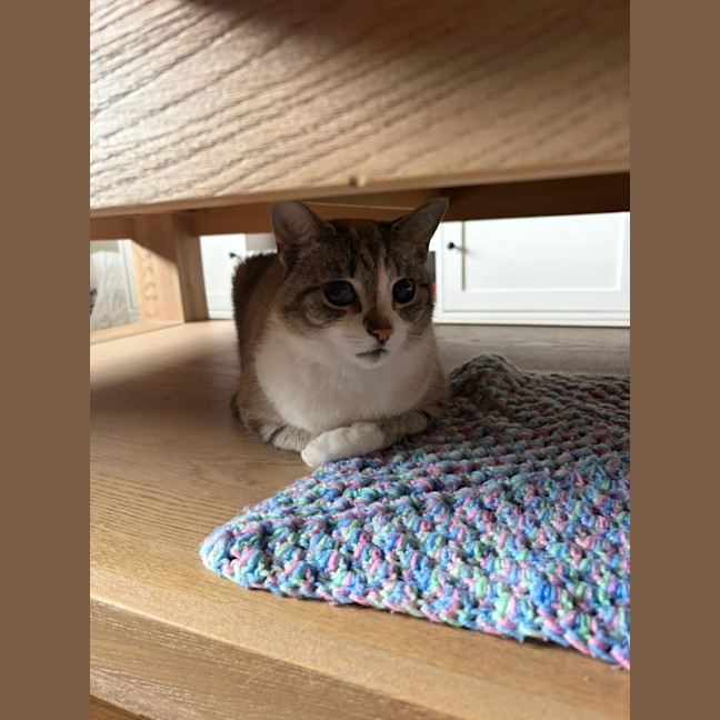 Photo of Taco