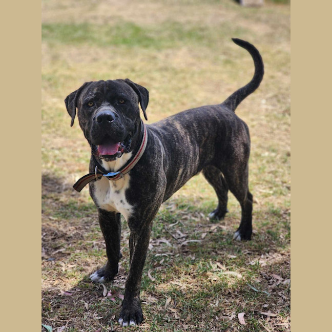 Photo of 🥛 Eggnog 5520 🥛