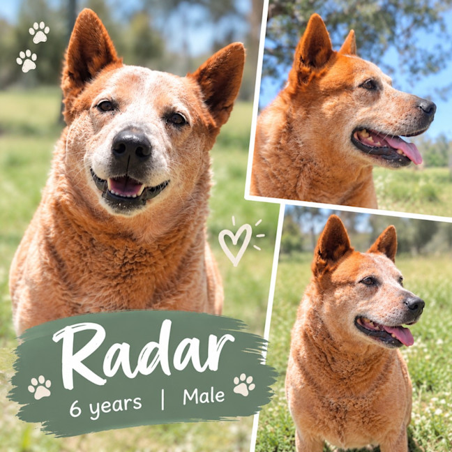 Photo of Radar