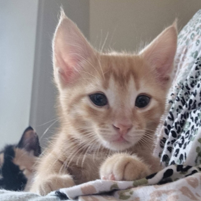 Photo of Lenny Baker