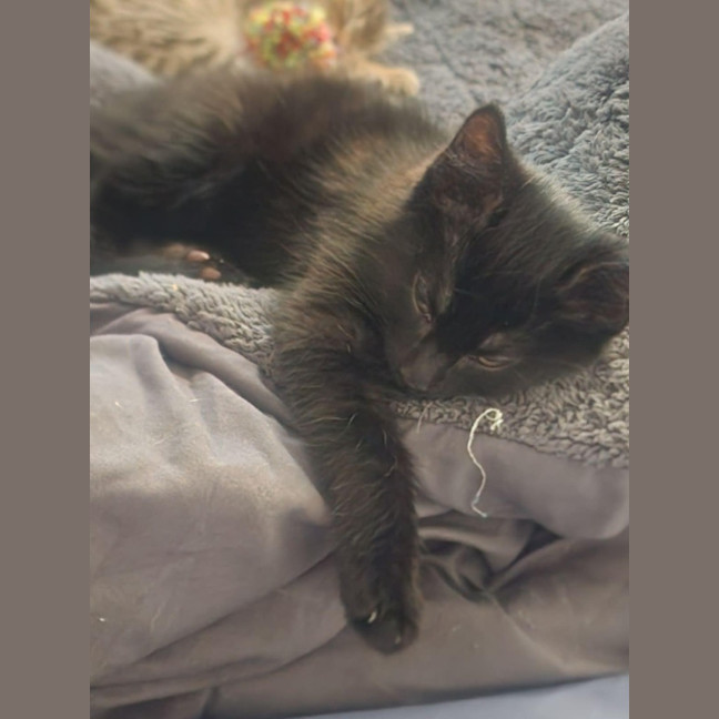 Photo of Rowan