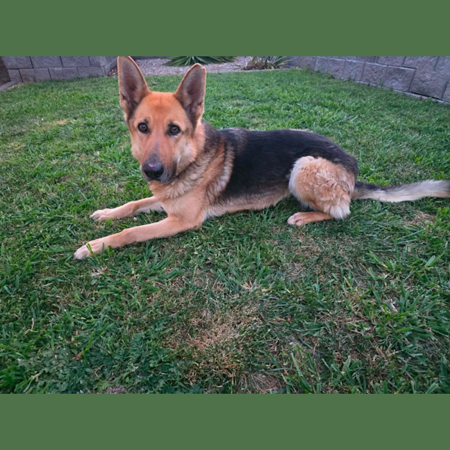 Photo of Lucy