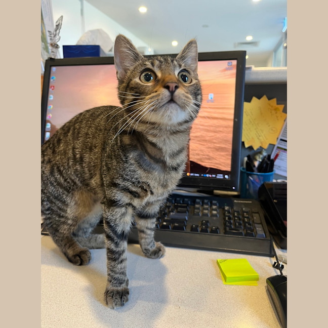 Photo of Minty Wright