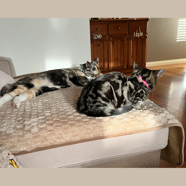 Photo of Delilah & Elfie