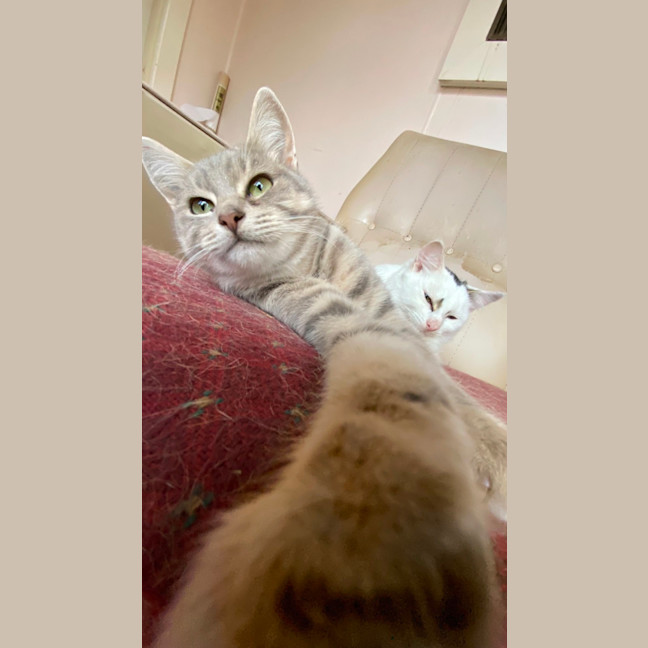 Photo of Hana   Located In Clayton