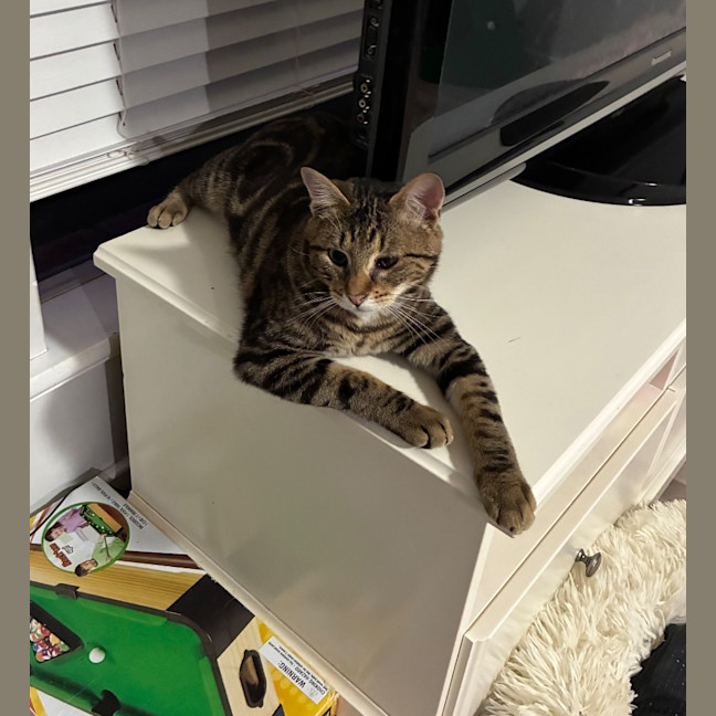 Photo of Oscar