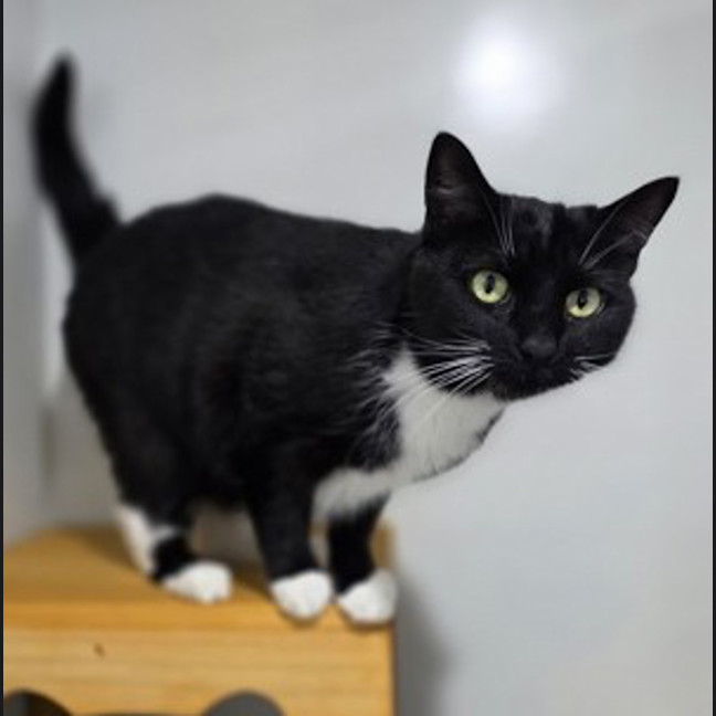 Photo of Delilah