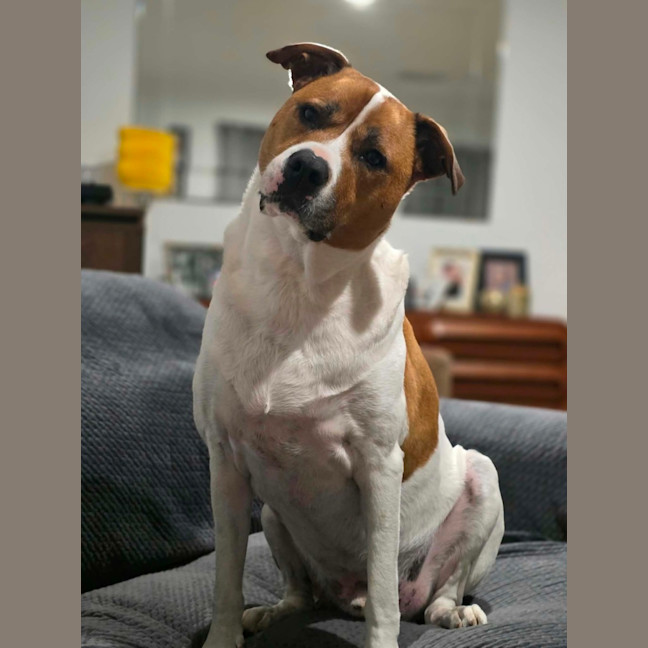 Photo of Flint