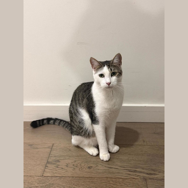 Photo of Mia Boy
