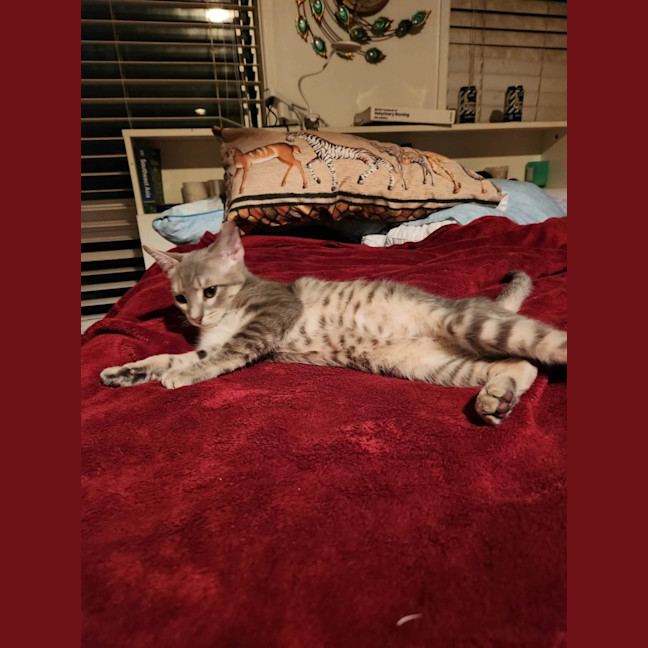 Photo of Ridoc