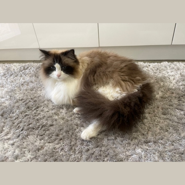 Photo of Sissi