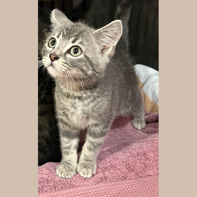 Photo of Sprite
