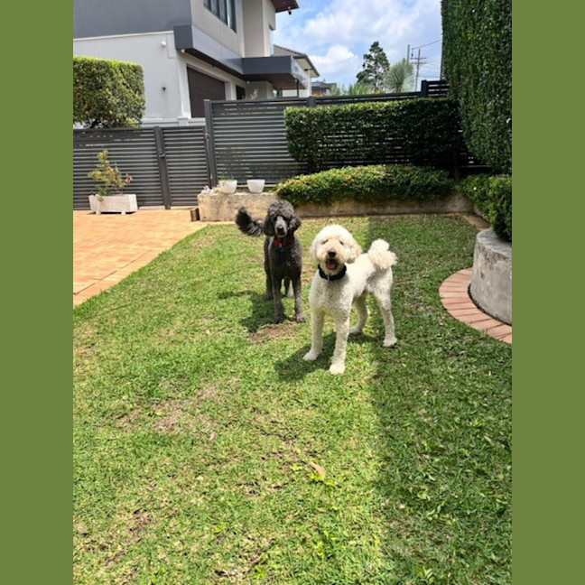 Photo of George And Bobby