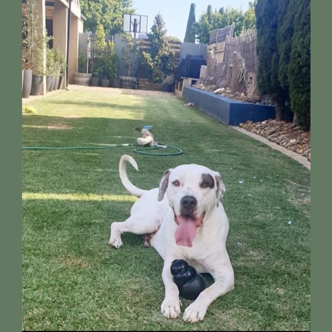 Photo of Tucker