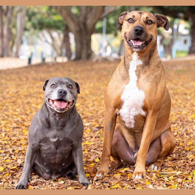 Photo of Lily And Tazi