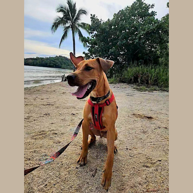 Photo of Chase