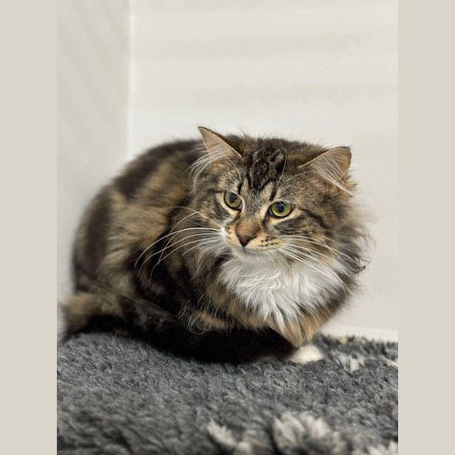 Photo of 🥼 Jesse 5511 🥼