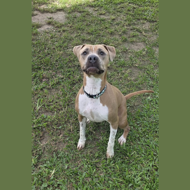 Photo of Stormi Rose