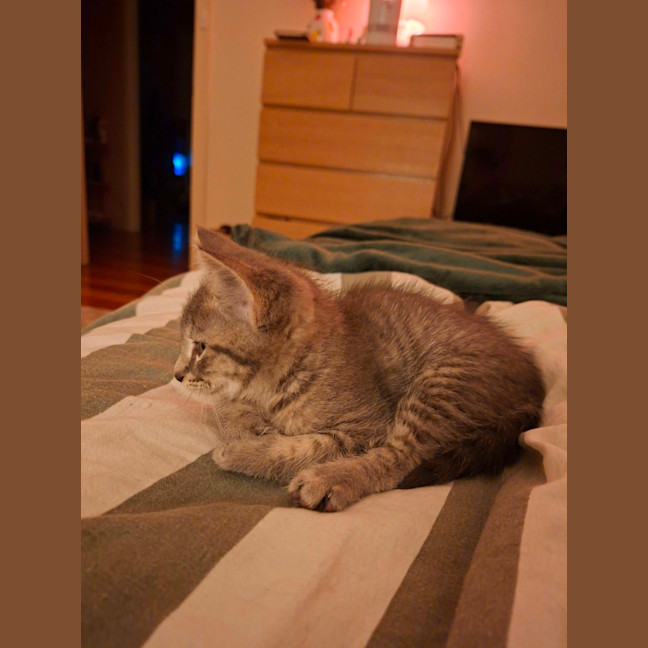 Photo of Princeton