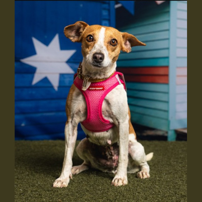 Photo of Bailee