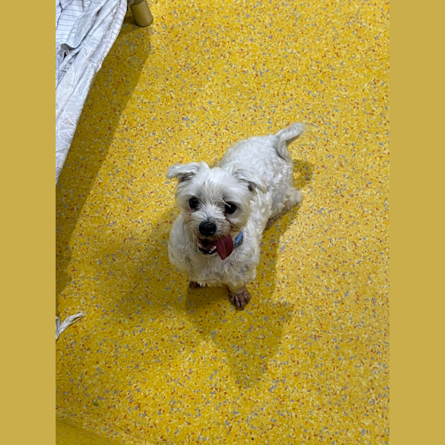 Photo of Teka