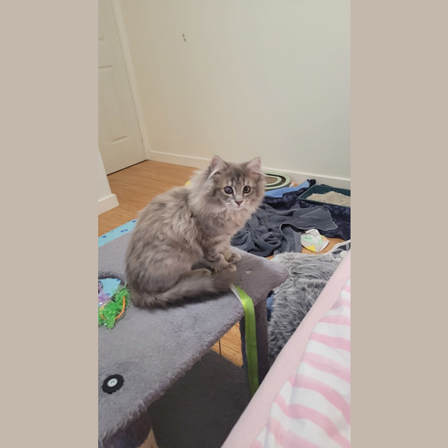 Photo of Rosie