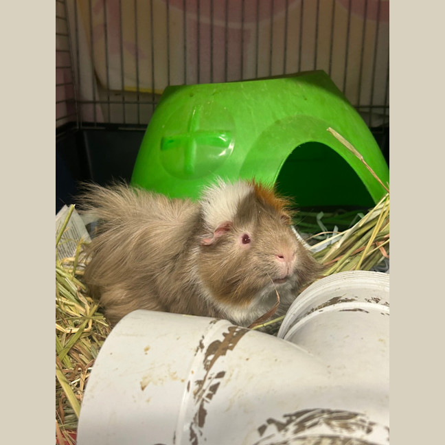 Photo of Eddy