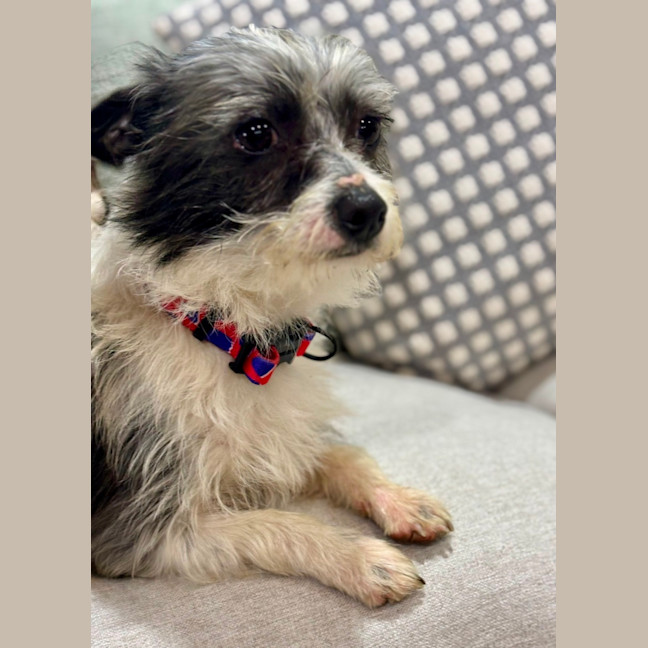 Photo of Bertie
