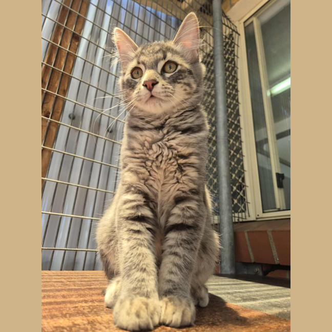 Photo of Winter! ❄️