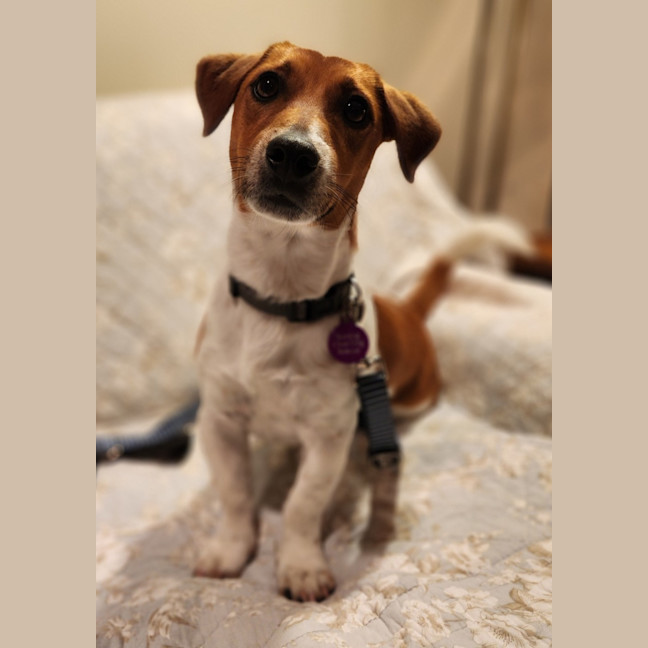 Photo of Jack Daniels