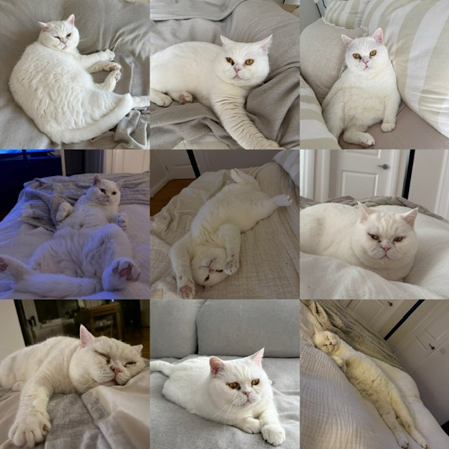 Photo of Yuki