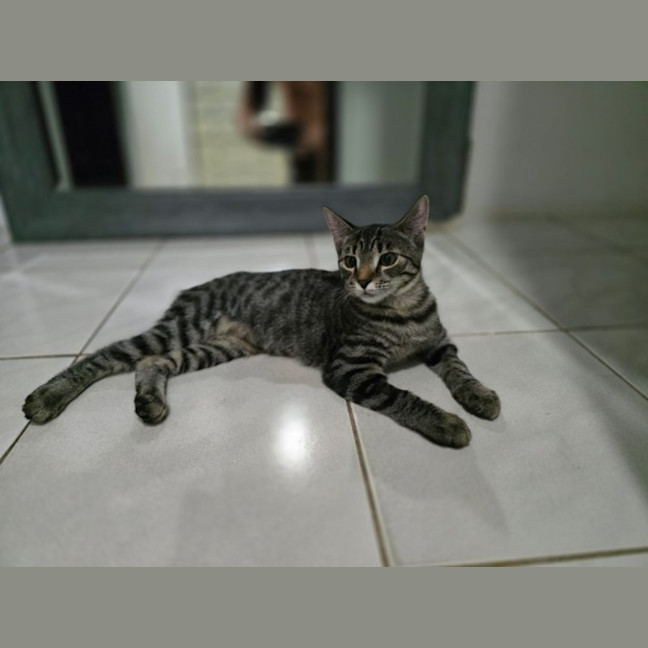 Photo of Bobbi