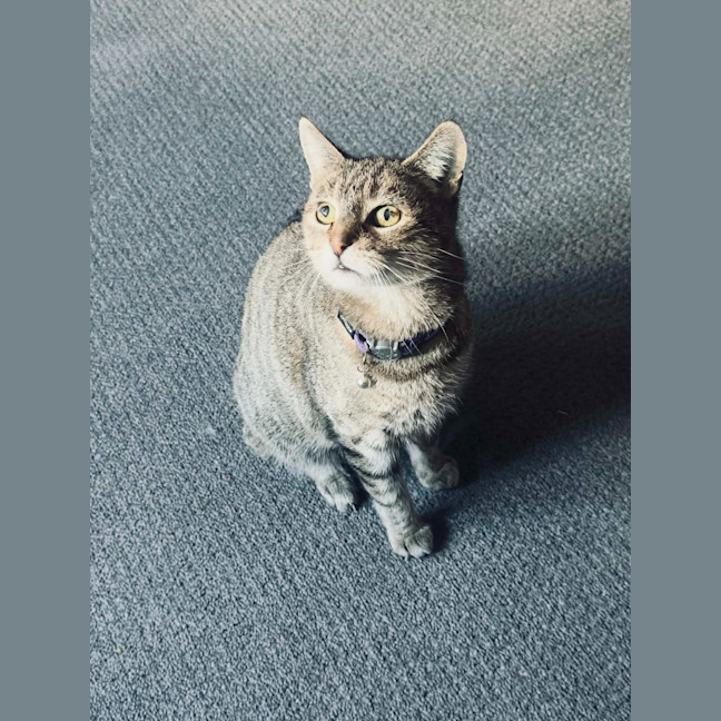 Photo of Mia