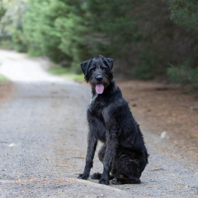 Photo of Luna