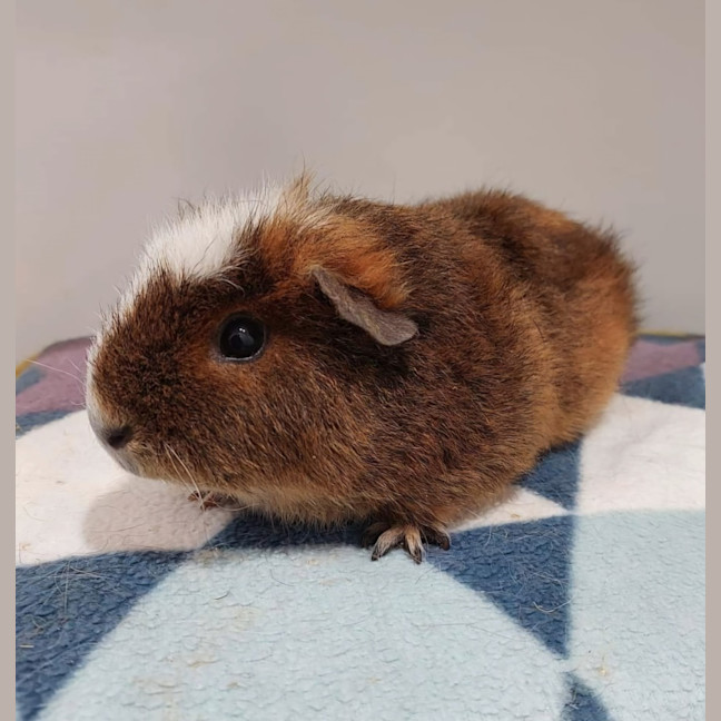 Photo of Leila