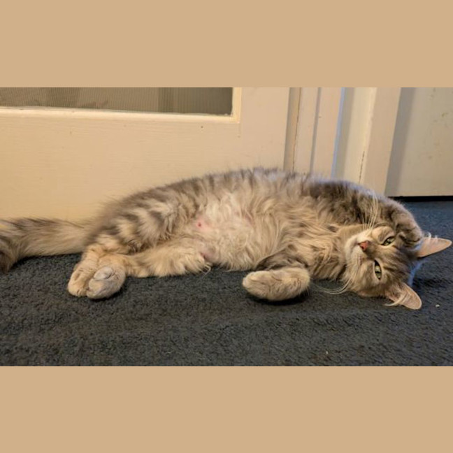 Photo of Molly