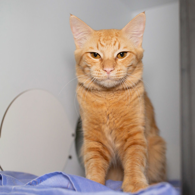 Photo of Sunny