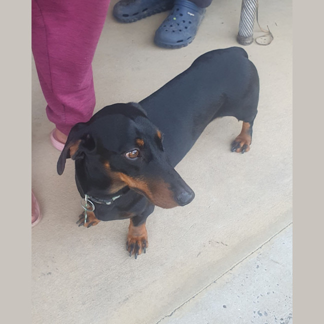 Photo of Winston