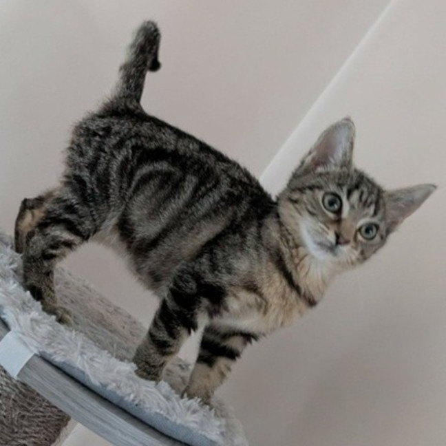 Photo of Tabitha