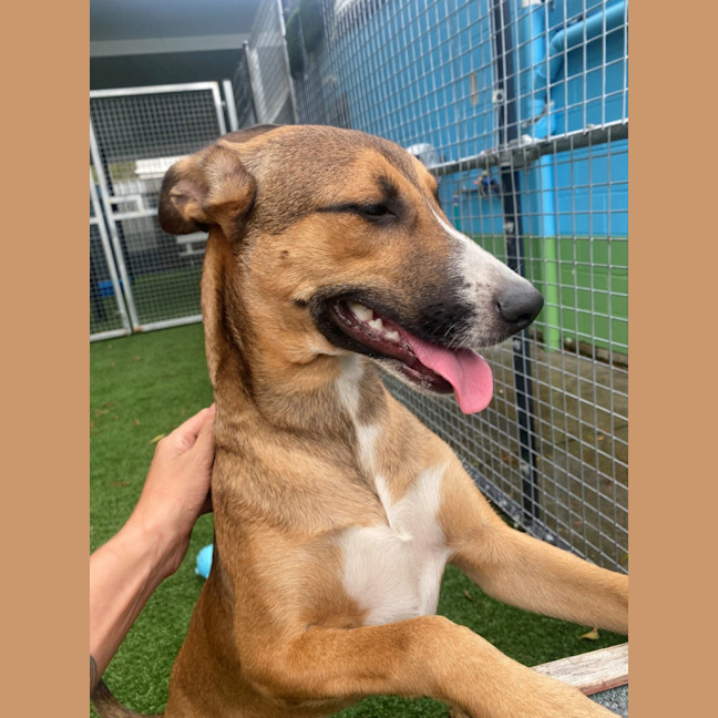 Photo of D1116 Kylie