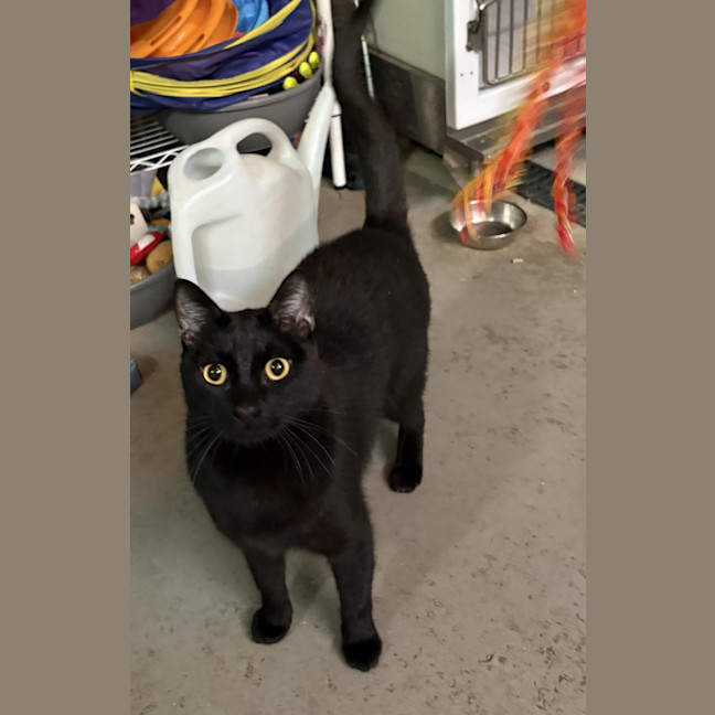Photo of Taco