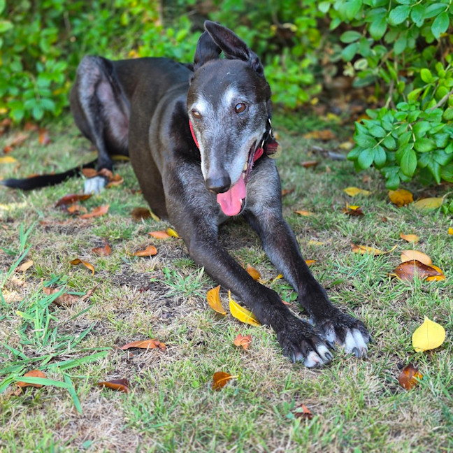 Photo of Vinnie