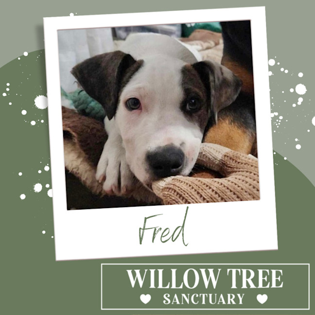 Photo of Fred