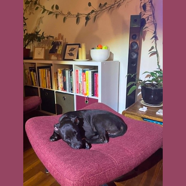 Photo of Coco